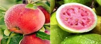 Which is healthier, guava or apple, and why?